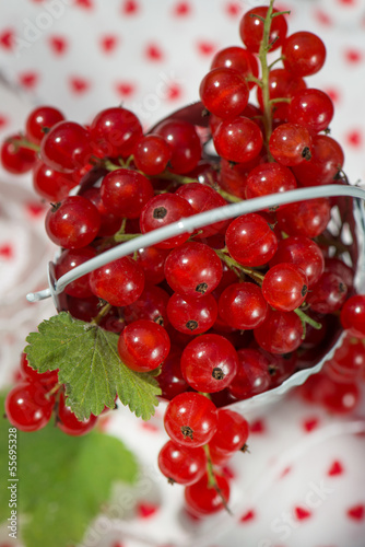 Rote Johannisbeeren