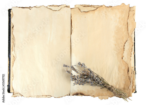 Fototapeta Naklejka Na Ścianę i Meble -  Open old book and lavander isolated on white
