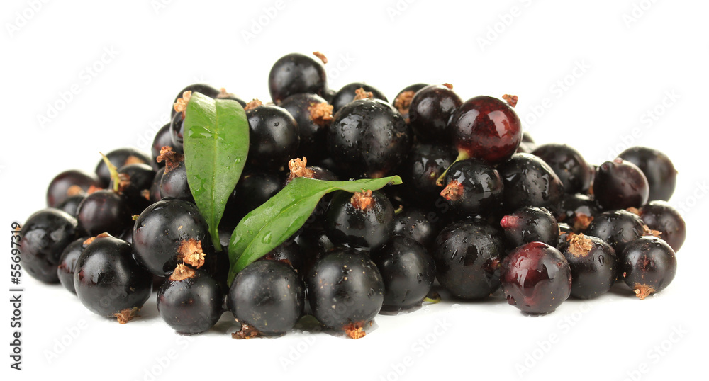 Black currant isolated on white
