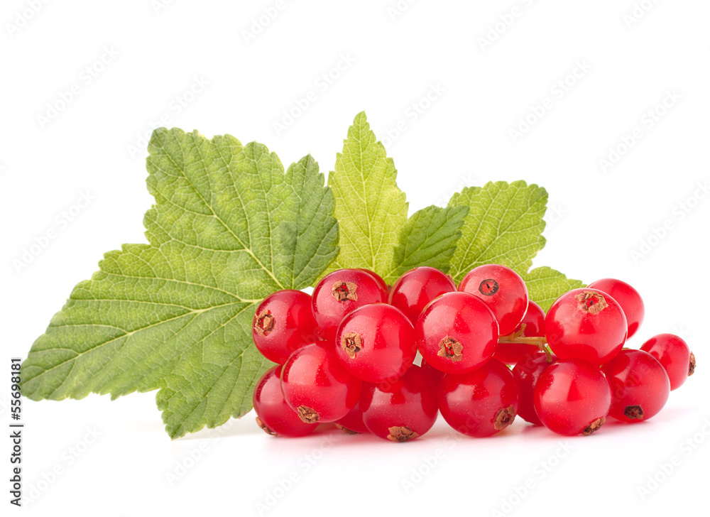 Red currants and green leaves still life