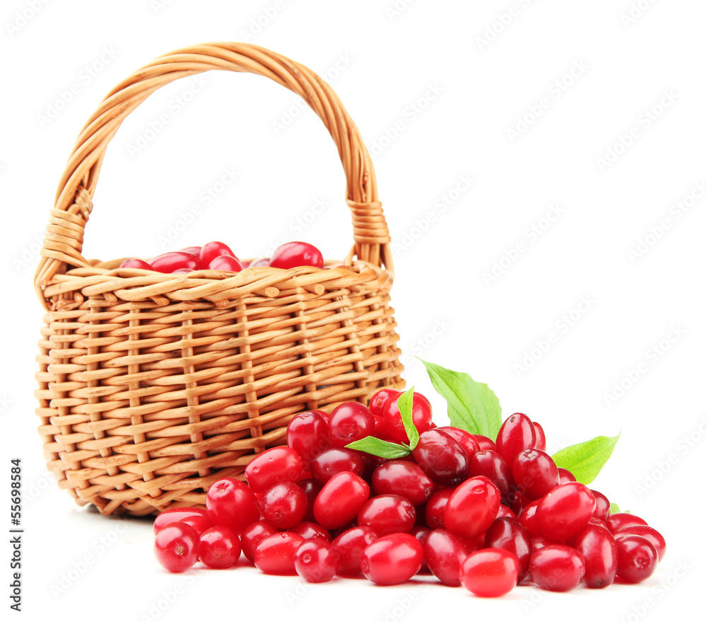 Fresh cornel berries in wicker basket, isolated on white Fresh cornel berries in wicker basket, isolated on white