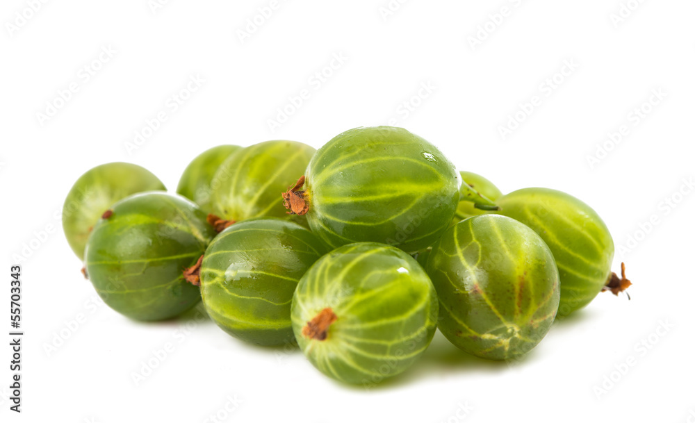 gooseberries isolated gooseberries isolated