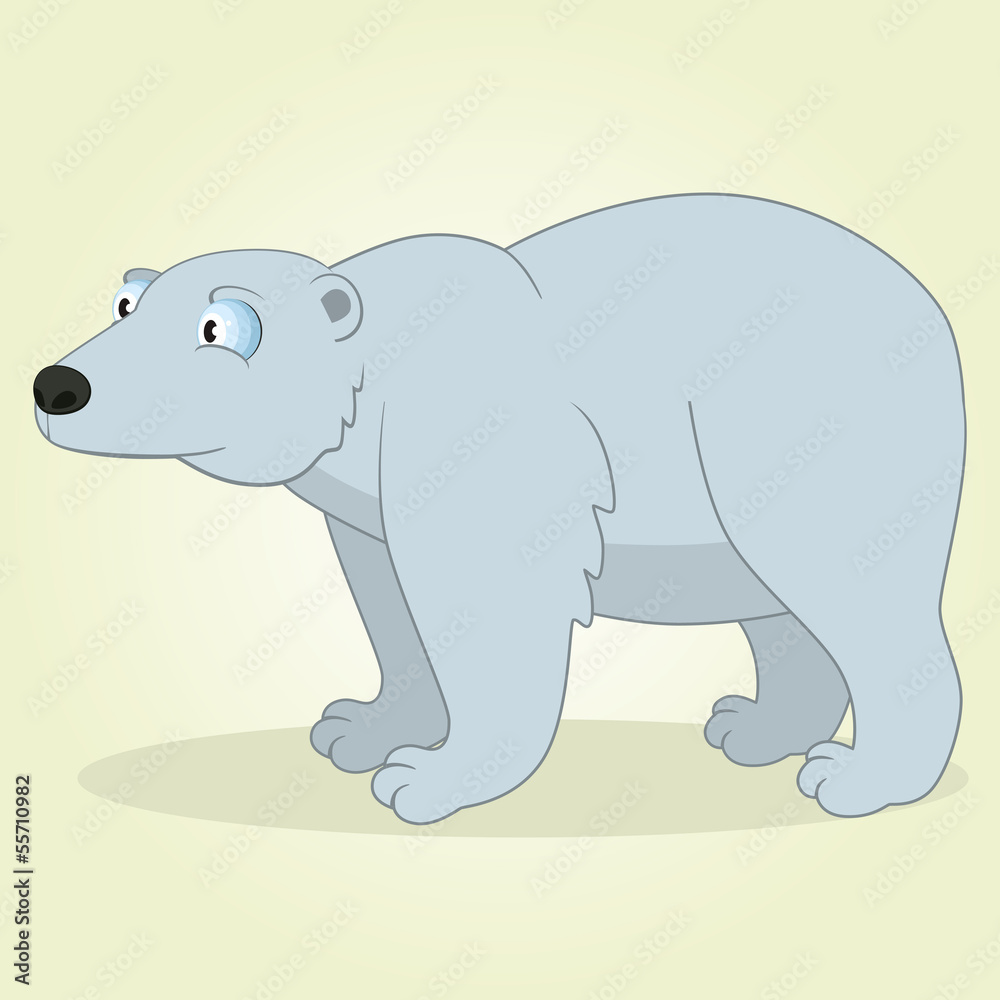 Fototapeta premium Polar Bear