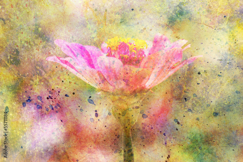 beautiful pink flower and watercolor splatter