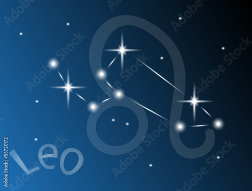 Wallpaper Mural lion Torontodigital.ca