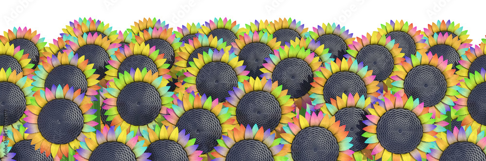 Fototapeta premium flowers on a white background