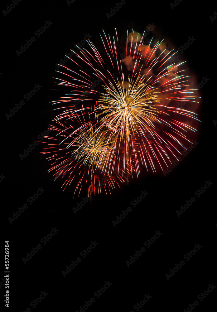 Fireworks display in the night sky Fireworks display in the night sky