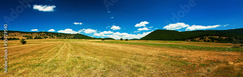 Nice field with flowers and...