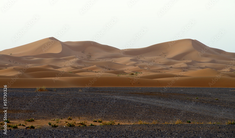 Sand dunes in the Sahara Desert, Morocco, morning
