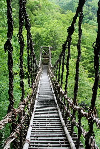 Obraz Pont de lianes Kazura-bashi à Oku Iya, Shikoku, Japon