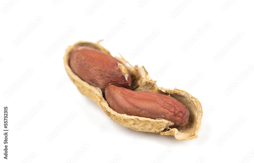 peanuts isolated peanuts isolated