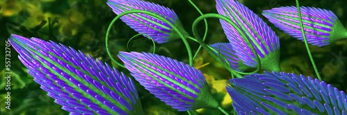 blue 3d flowers panoramic