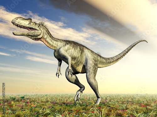 Fototapeta Naklejka Na Ścianę i Meble -  Dinosaurier Megalosaurus