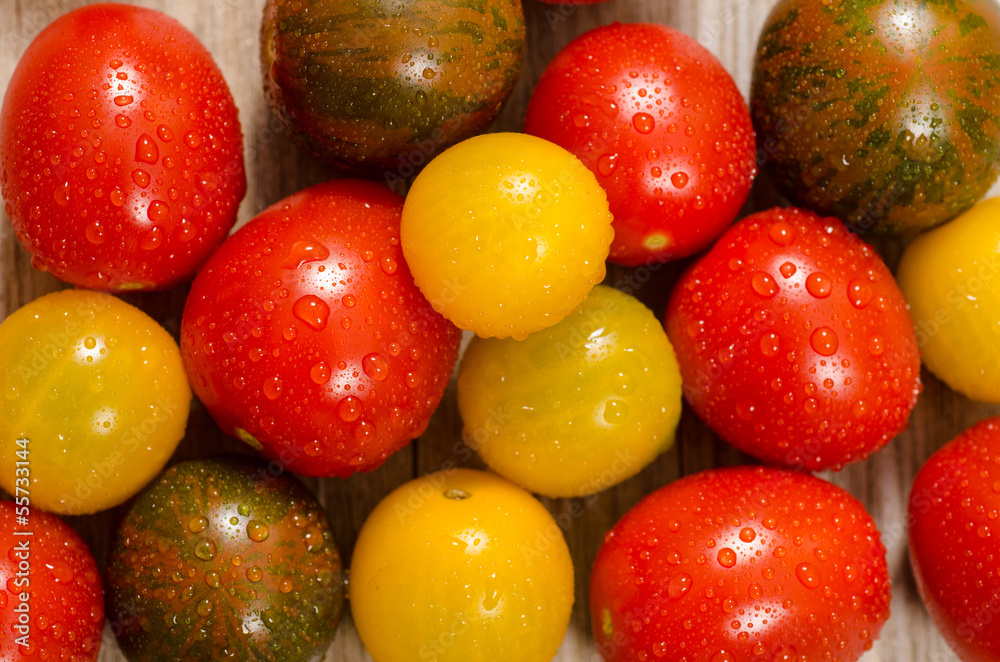 Bunte nasse Tomaten in gelb, rot und grün Bunte nasse Tomaten in gelb, rot und grün