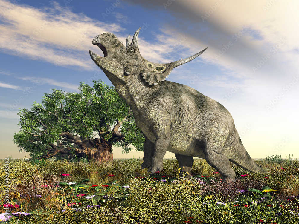 Fototapeta premium Dinosaurier Diabloceratops