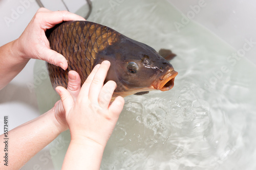 women hand with son touching christmas carp