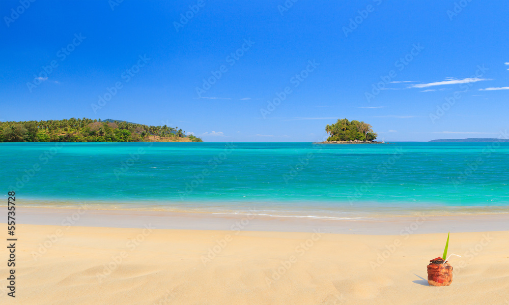 Tropical island landscape