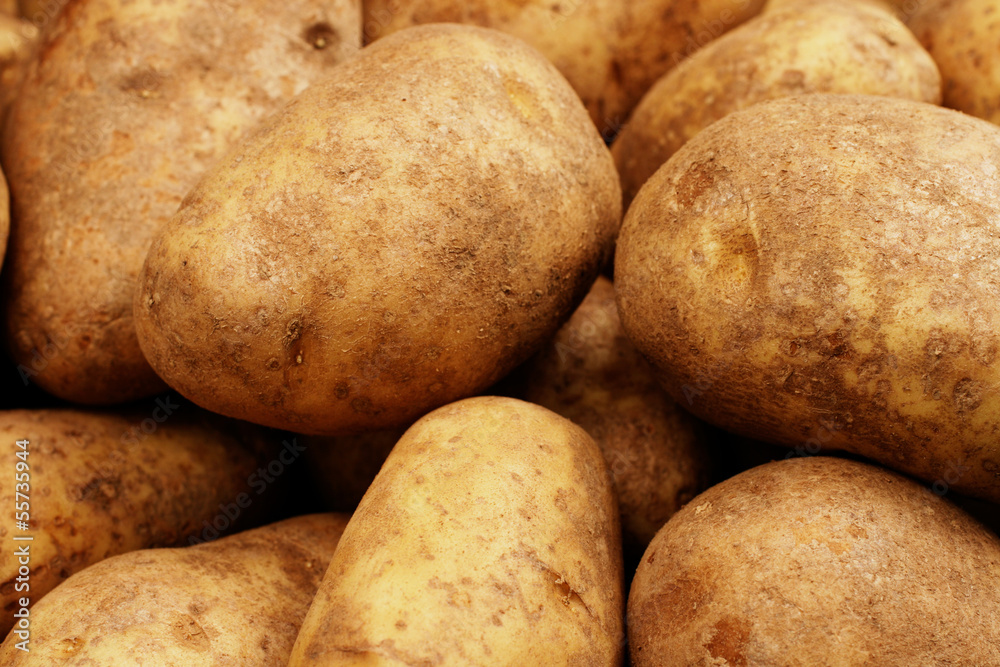 Russet Potatoes Close Up