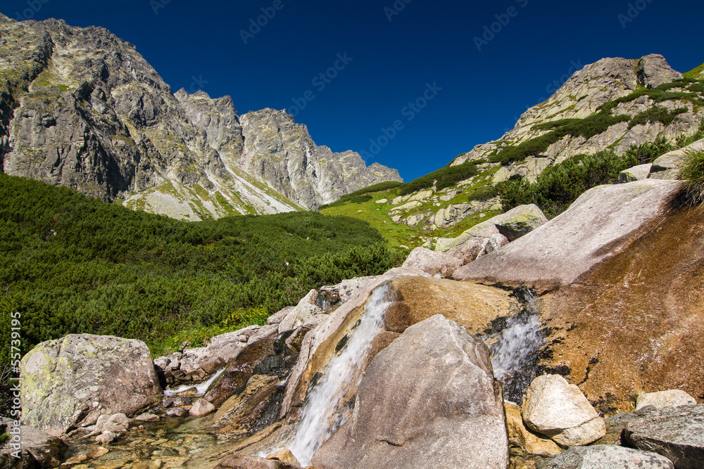 Creek in summer mountains - High Tatras, Slovakia, EU