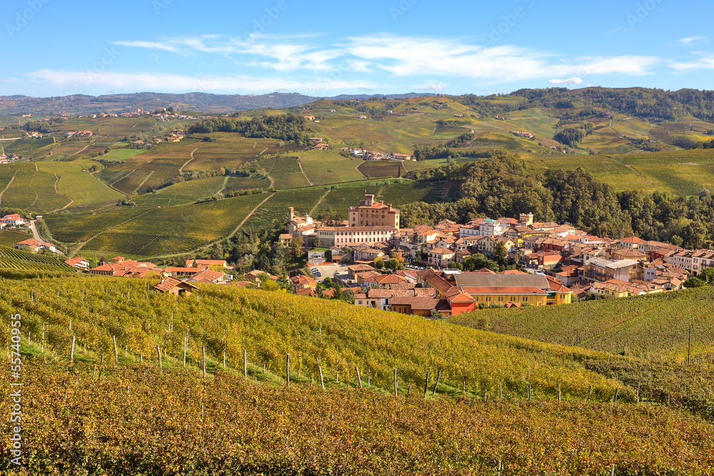 Naklejka premium Autumnal view of vineyards and Barolo in Piedmont, Italy.