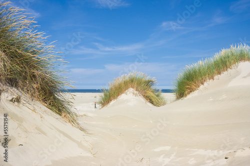 Dunes, beach and sea
