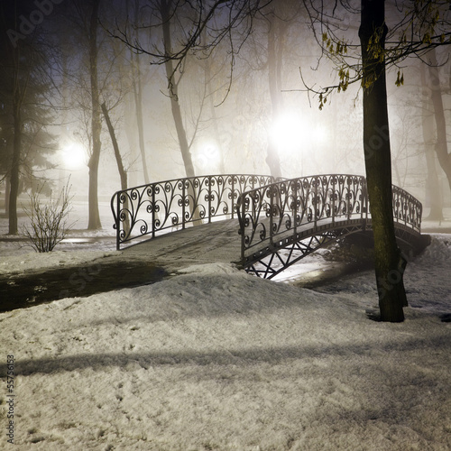 Park bridge in winter © Szasz-Fabian Jozsef