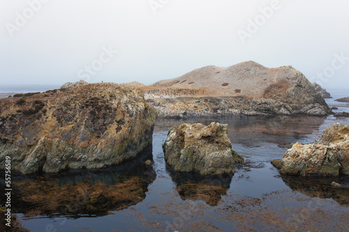Rock Formations at Point Lobos State Marine Conservation Area