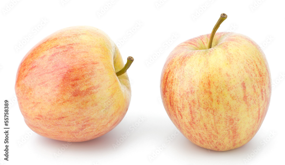 juicy apples isolated on white background juicy apples isolated on white background
