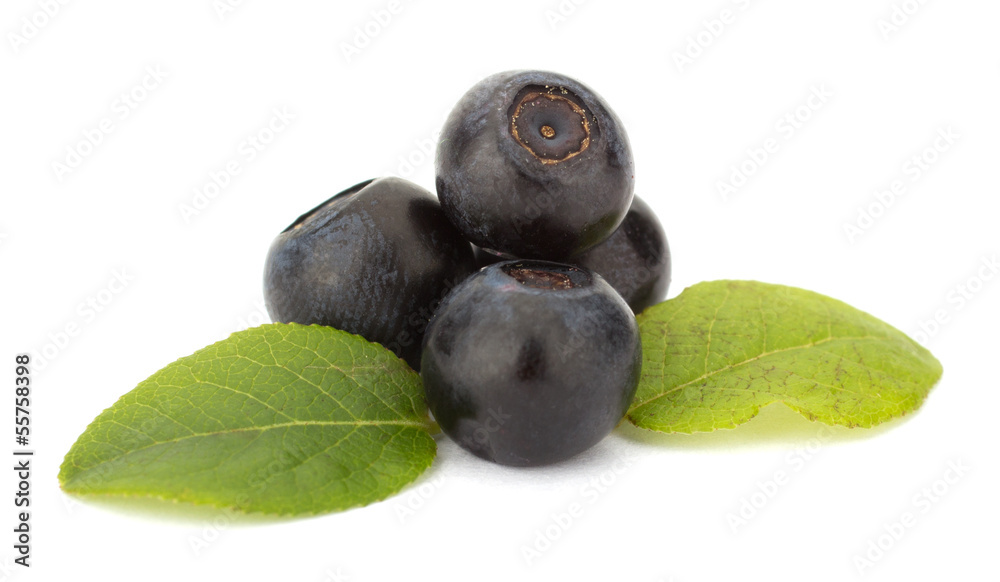 Fresh blueberries isolated on white background Fresh blueberries isolated on white background