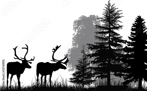 deer silhouettes in forest isolated on white background