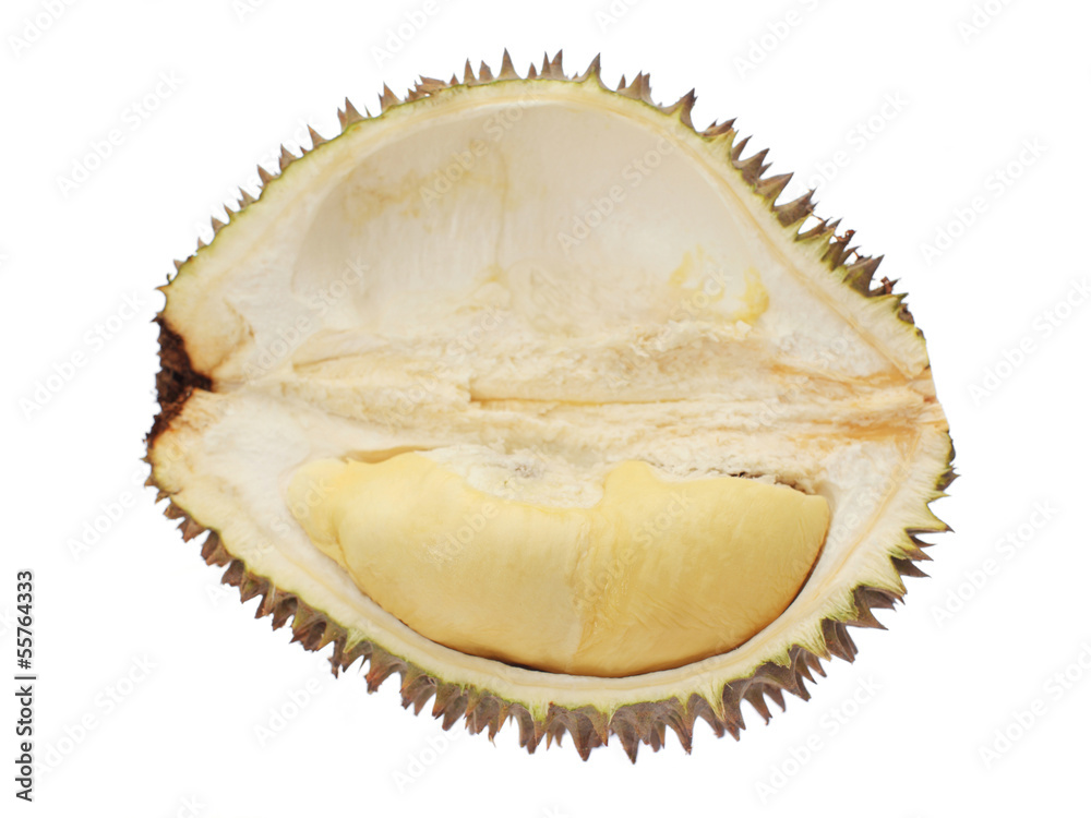 Obraz premium Durian