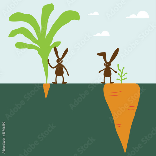 Rabbit and carrot