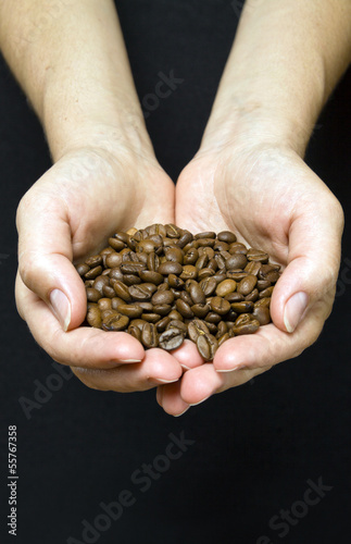 Young girl hands holding coffee beans