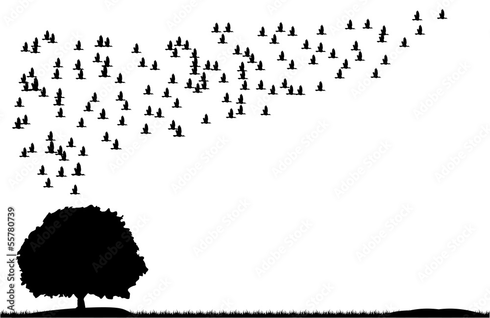 birds tree grass