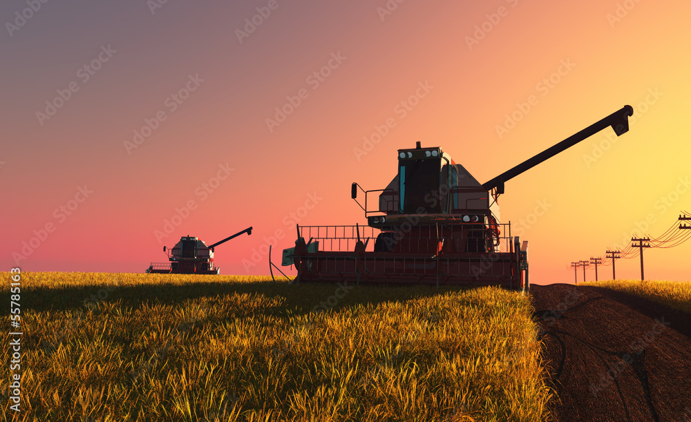Naklejka premium machine for harvesting