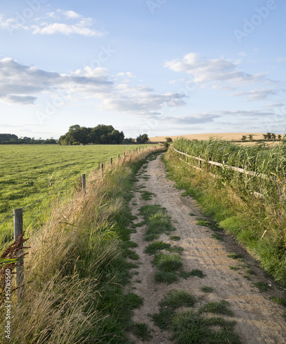 Countryside landscape of track leading through fields on Summer