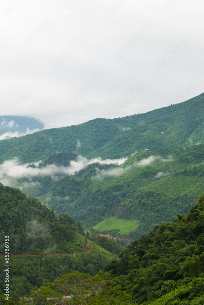 Foggy hills - mountains landscape mist - mist and mountain Foggy hills - mountains landscape mist - mist and mountain