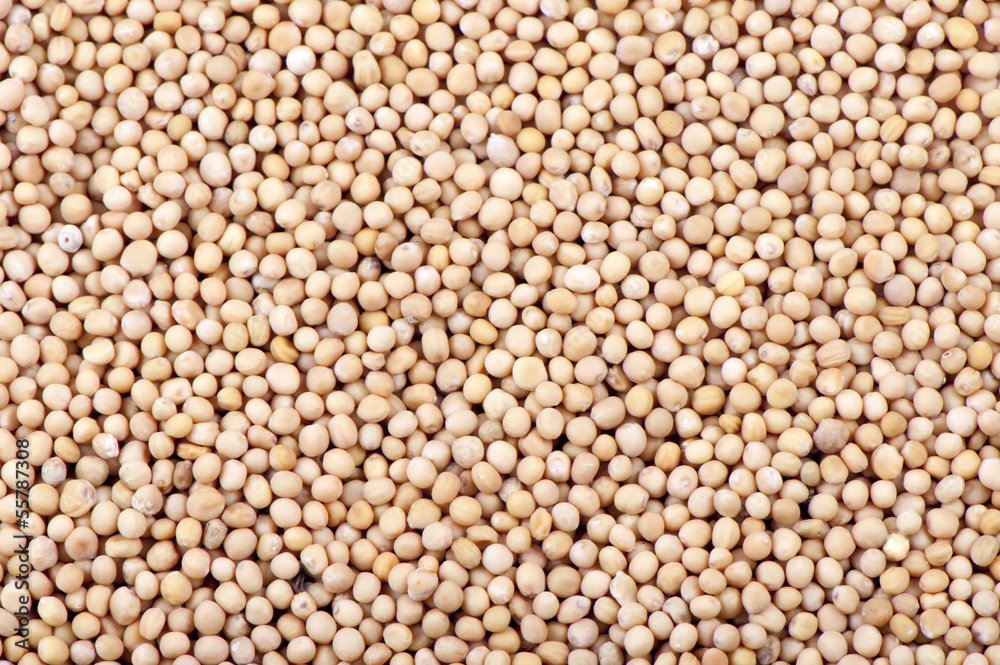 Mustard seeds Mustard seeds