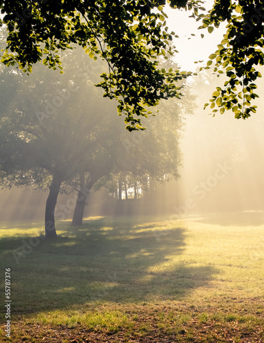 Morning sunlight falls.