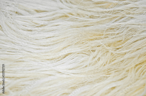 Close up of white sheep wool texture background