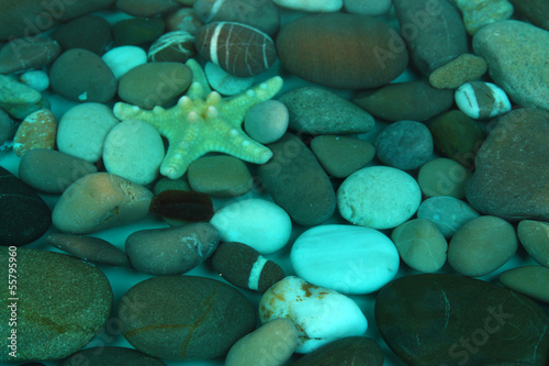 Sea bottom with shells and stones © Africa Studio