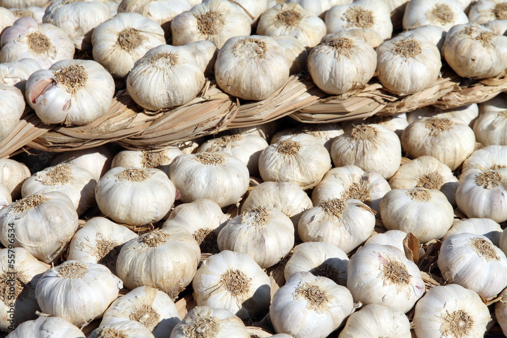 String of garlic, Cedrillas street market,Teruel,Aragon,Spain String of garlic, Cedrillas street market,Teruel,Aragon,Spain