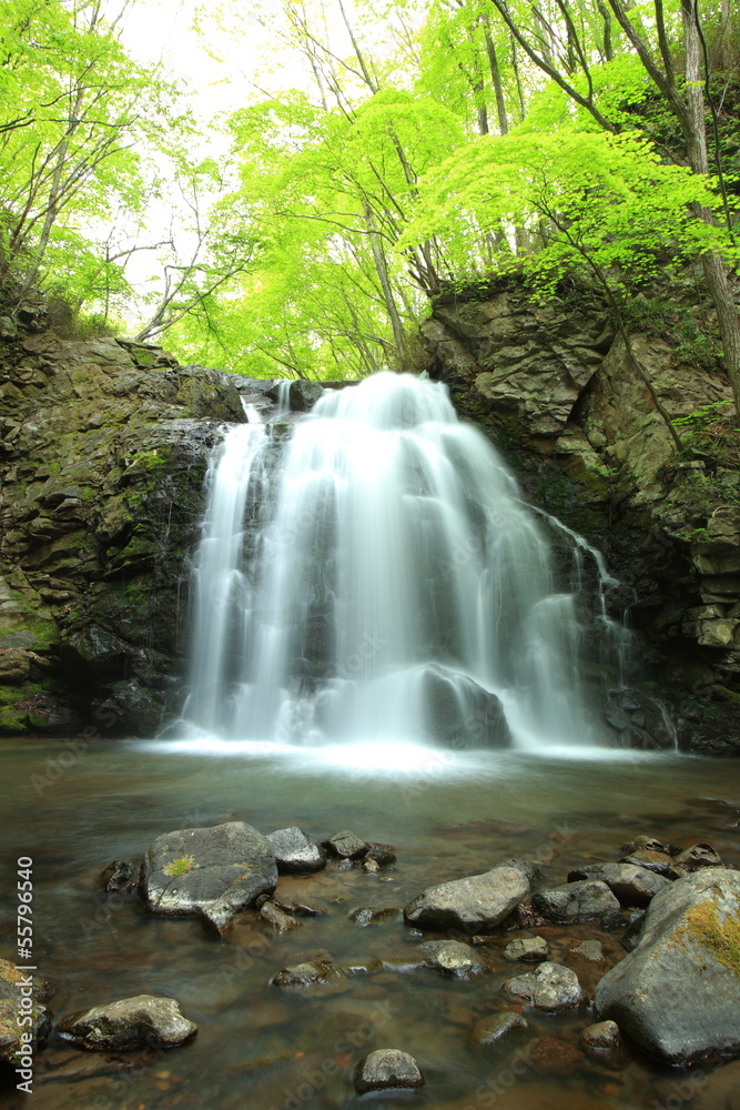 Waterfall of fresh green, Asamaootaki, Gunma, Japan Waterfall of fresh green, Asamaootaki, Gunma, Japan