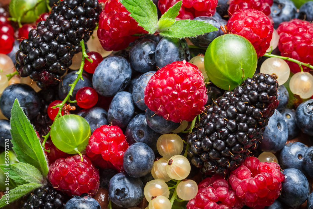 Closeup of fresh berry fruits Closeup of fresh berry fruits