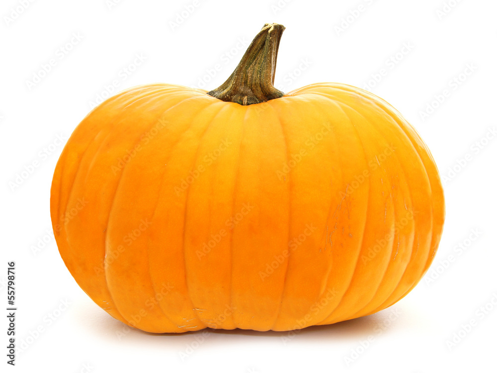 Single pumpkin isolated on white Single pumpkin isolated on white