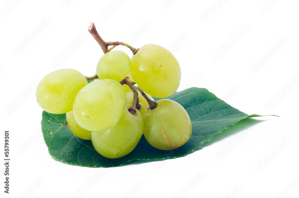 Obraz premium grapes Isolated on the white