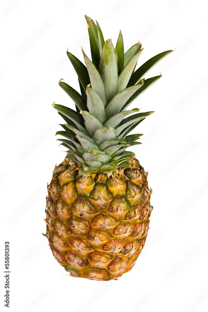 ripe pineapple isolated on white background ripe pineapple isolated on white background