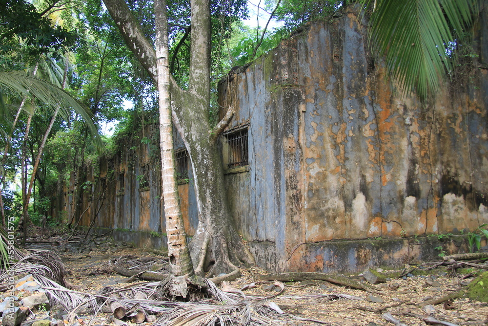 Obraz premium Les Iles du Salut - Août 2013