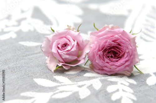 two roses with lace background