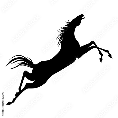 Jumping horse silhouette